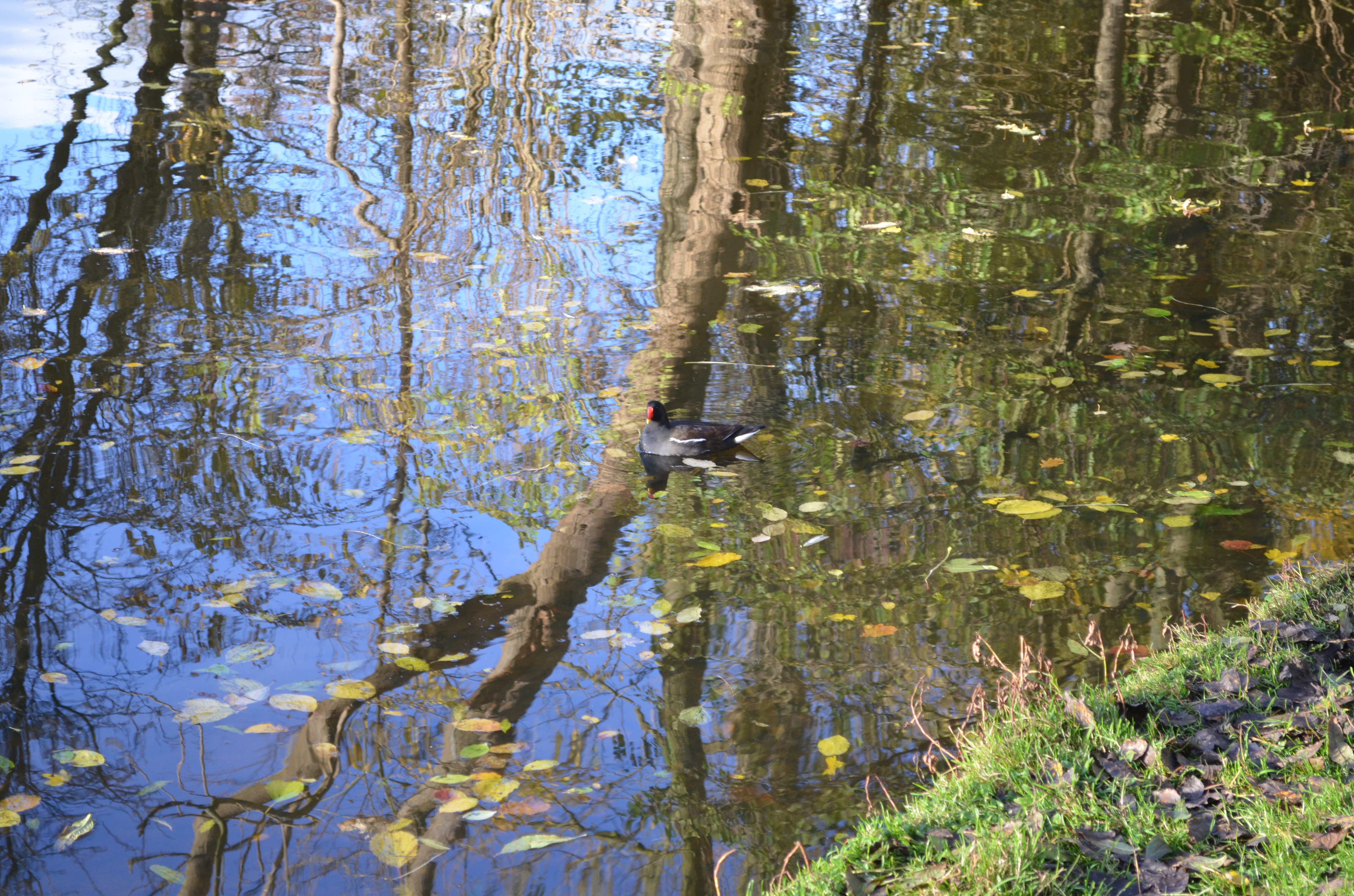 ./2017/19 - Viking Lif/13 - Amsterdam, The Netherlands/DSC_0572.JPG